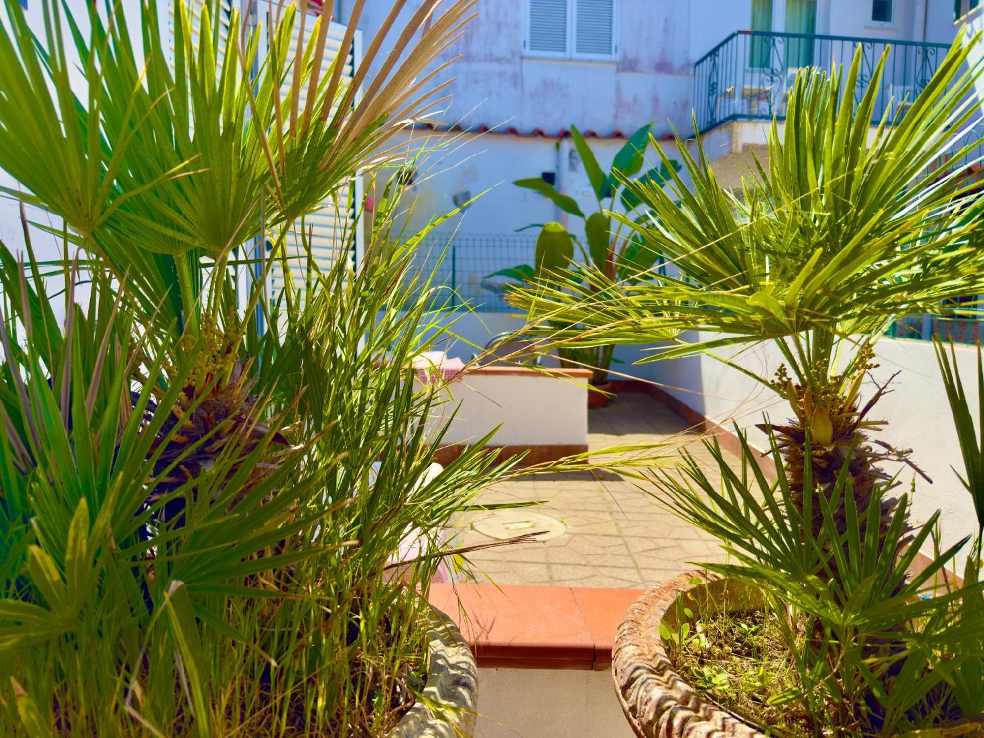 Hotel Villa Fiorentina Casamicciola Terme Exterior photo